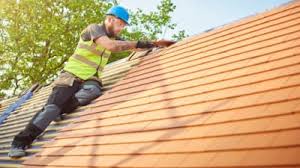 Best Gutter Installation and Repair  in Oak Grove, MN