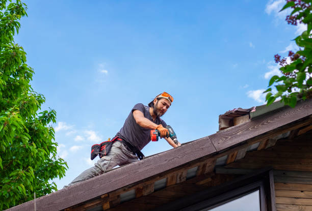 Best Emergency Roof Repair Services  in Oak Grove, MN