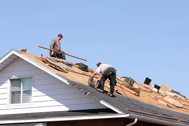 Best Skylight Installation and Repair  in Oak Grove, MN